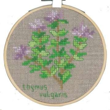 Thyme - click for larger image