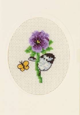 Pansy - click for larger image