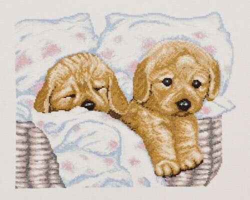 Puppies - click for larger image