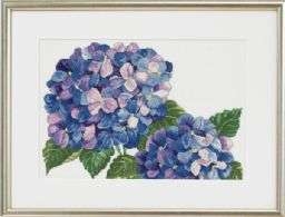 Hydrangeas%20(70-4109)