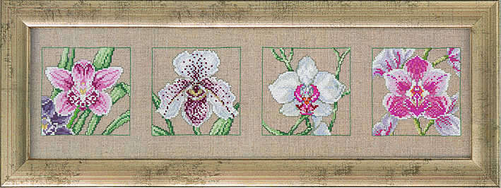 Orchid quartet - click for larger image