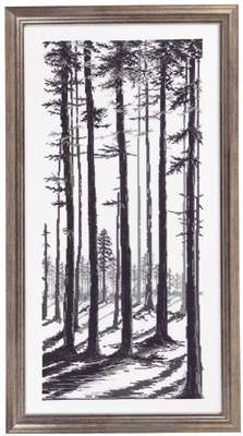 Long shadows in pine forest - click for larger image