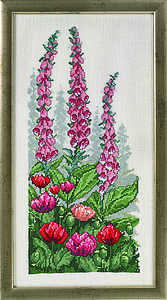 Foxgloves and poppies - click for larger image