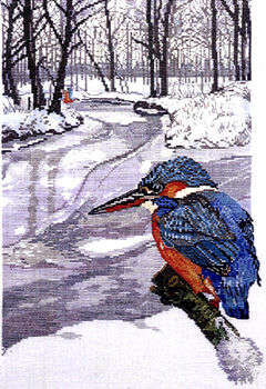 Kingfisher - click for larger image