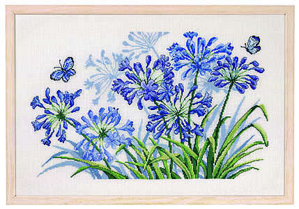 Agapanthus%20and%20blue%20butterfly%20(70-6535)