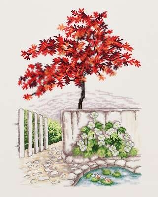 Japanese Maple - click for larger image