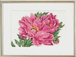 Peony%20(90-4108)