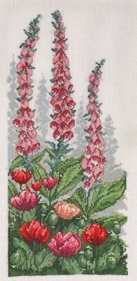 Foxgloves and Poppies - click for larger image