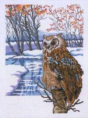 Horned Owl