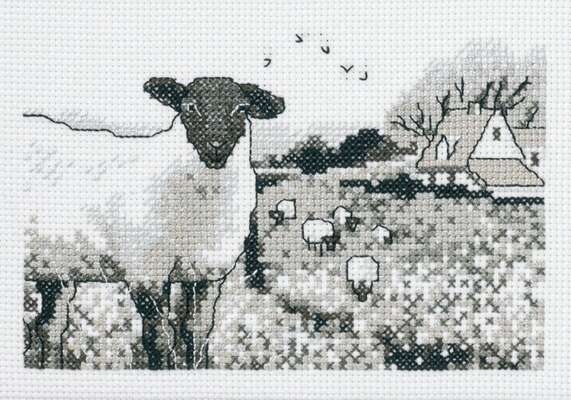 Sheep - click for larger image