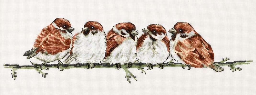 House Sparrows - click for larger image