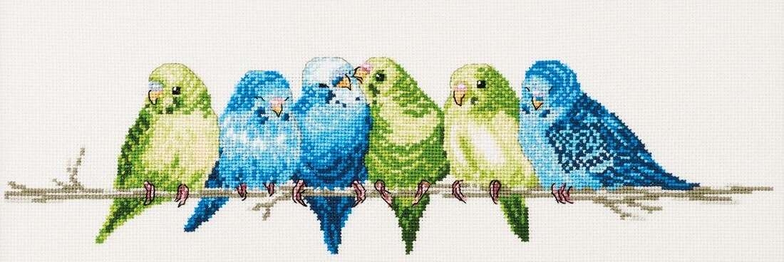 Budgies - click for larger image