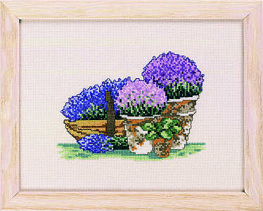 Purple flowers in pots - click for larger image