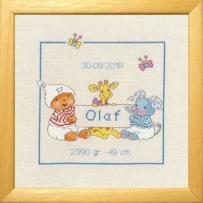 Baby Boy Sampler