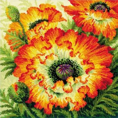Fire Poppies