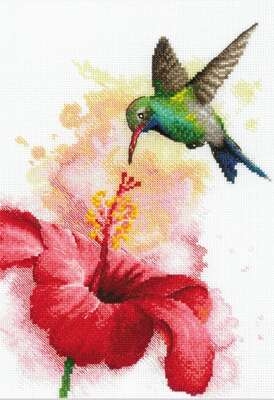 Hummingbird