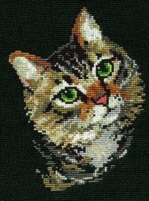 Grey Cat