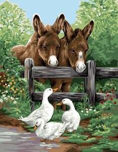 Donkey and Geese