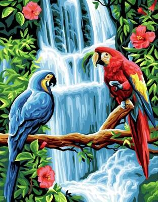 The Macaws