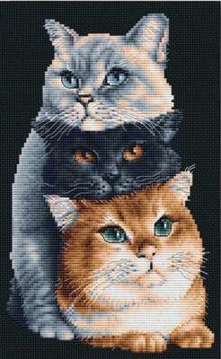 Three Cats on Black