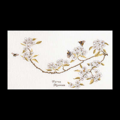 Pear Blossom and bees