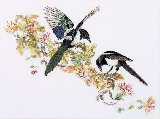 Magpies with oak and honeysuckle