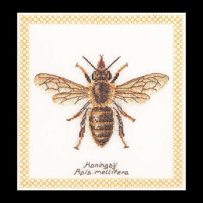 Honey Bee