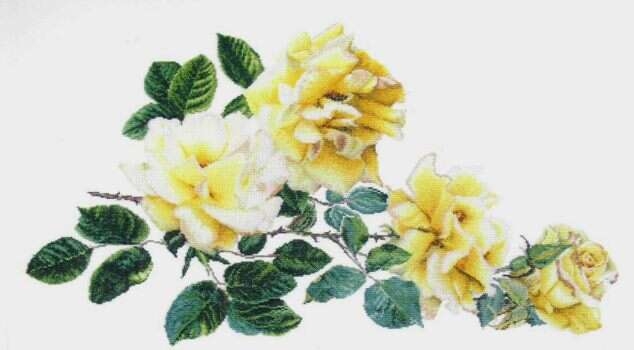 Branch of lemon roses