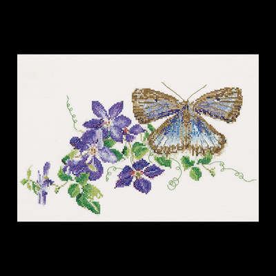 Blue Butterfly and Clematis