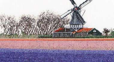 Hyacinth Field