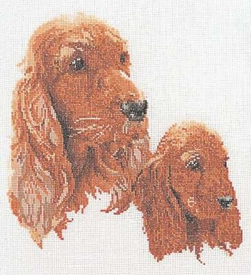 Spaniels