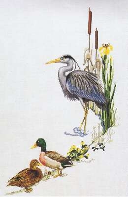 Heron and Mallard Ducks