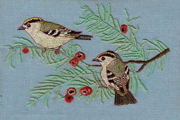 goldcrests