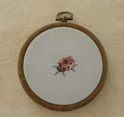 ladybird