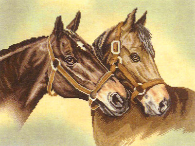 Friends, two horses