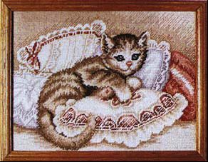Kitten on a cushion
