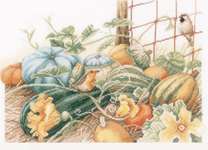 Pumpkins by Marjolein Bastin